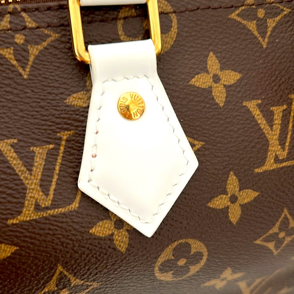 Louis Vuitton Brown and White Satchel - Picture 14 of 15